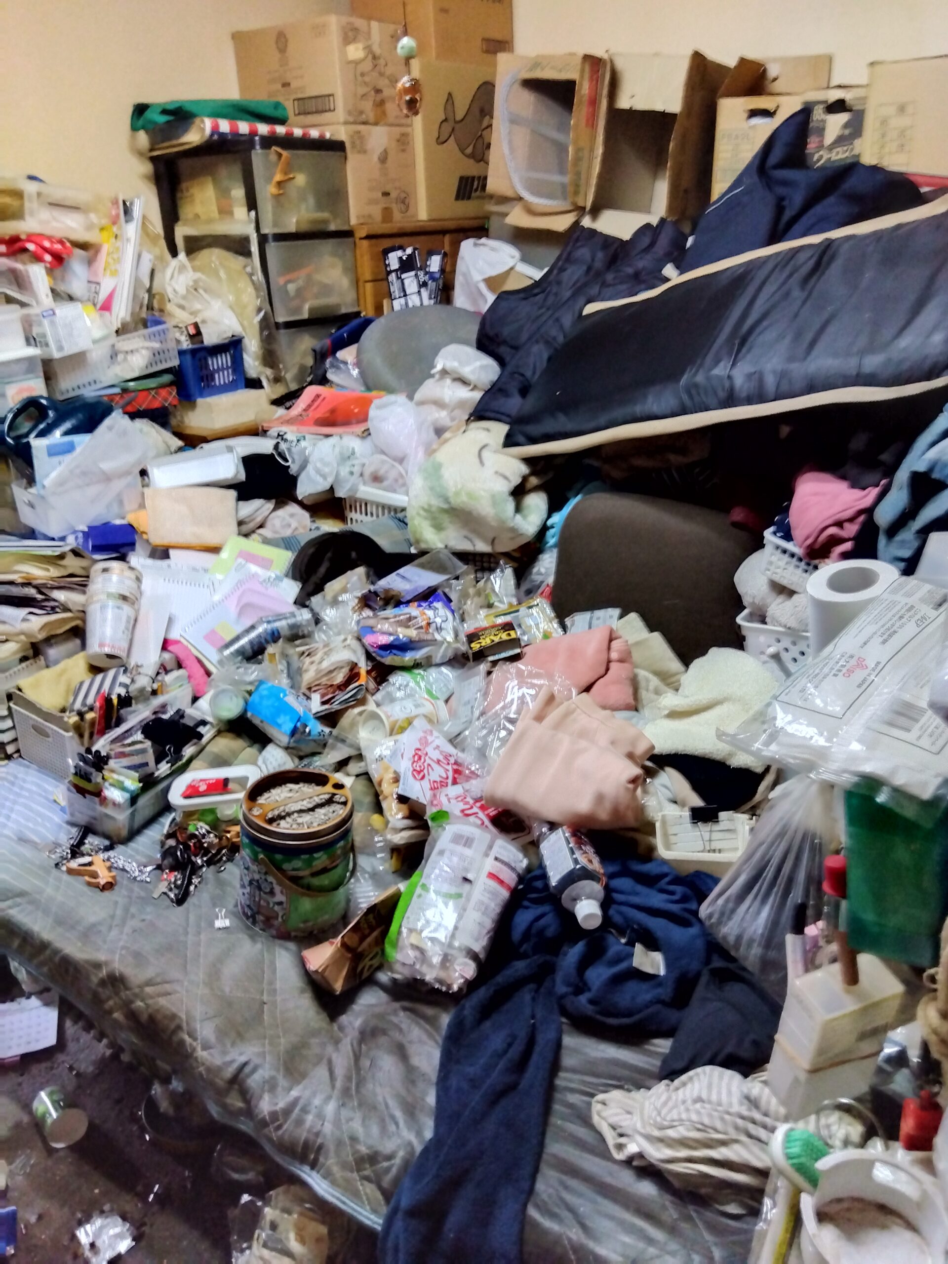 片付け前のゴミ屋敷の様子